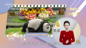 成人嘿咻